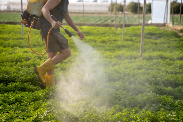Reliable Sterlington, LA Pest Control Solutions