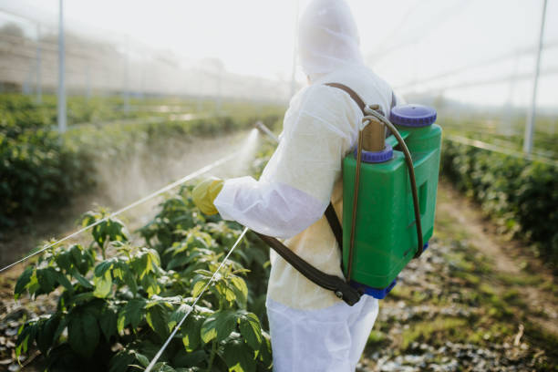 Best Affordable Pest Control Services  in Sterlington, LA